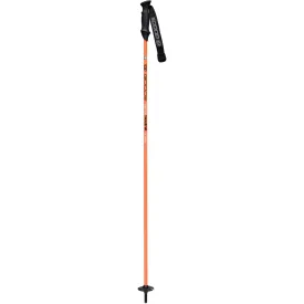 Goode Carbon Neutral Ski Pole - Skiing