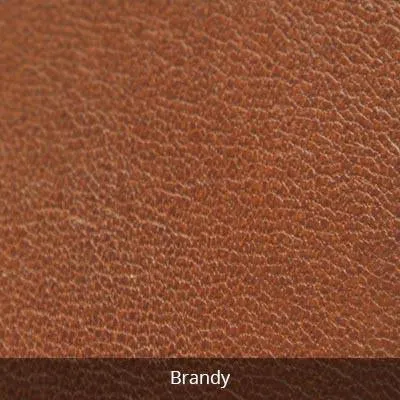 Osgoode Marley Leather Belt Wallet