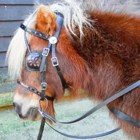 Windsor Miniature Pony Full Harness Set